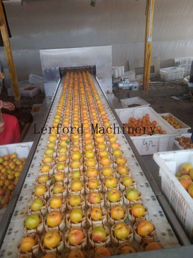 Apple Sorter