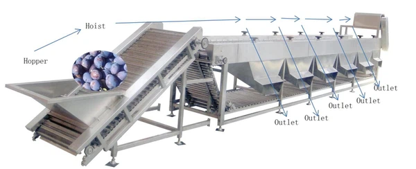 vegetable sorting machine vegetable sorting machine