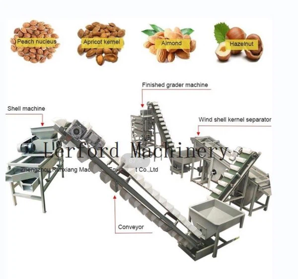 hazelnut sorting machine hazelnut sorting machine