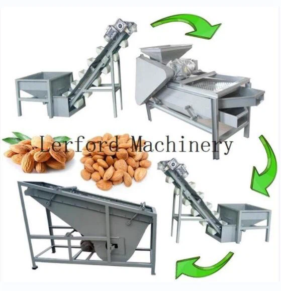 hazelnut sorting machine hazelnut sorting machine