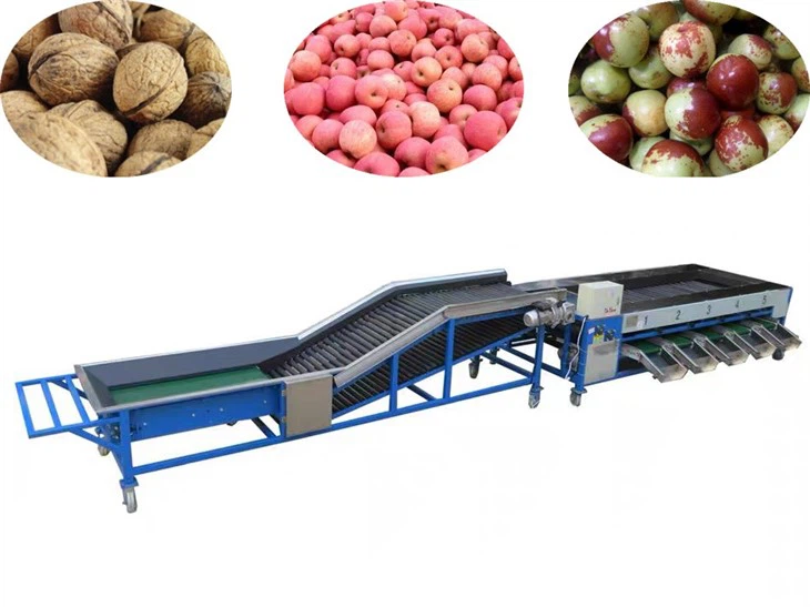 Cherry Grading Machine