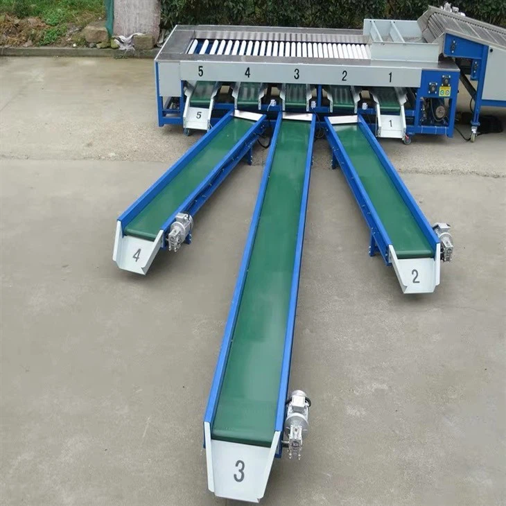 Cherry Grading Machine