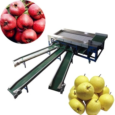 Nektarin Ayıklama Makinaları