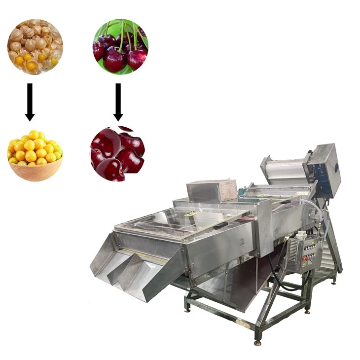 Destemming Machine suppliers